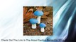 Miniature Fairy Garden Mushrooms, Set of 3 Review