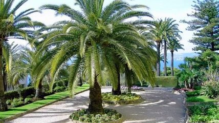 A vendre - appartement - Cap D Ail (06320) - 1 pièce