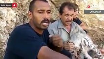 la chasse de la lienne   dans une grotte par les jordaniens