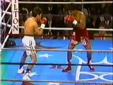 Julio Cesar Chavez vs Jose Luis Ramirez  1981-09-25