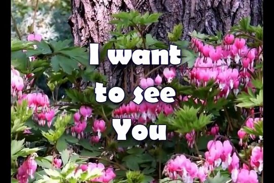 Open The Eyes Of My Heart - Paul Baloche - Worship Video w_lyrics