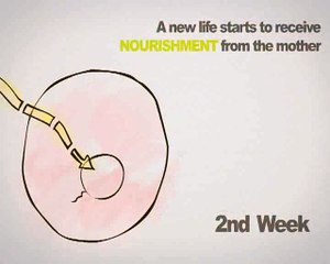 ambition vs abortion.............. amazing vedio........