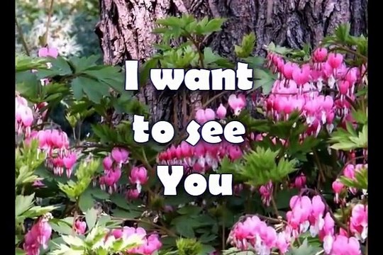 Open The Eyes Of My Heart - Paul Baloche - Worship Video w_lyrics