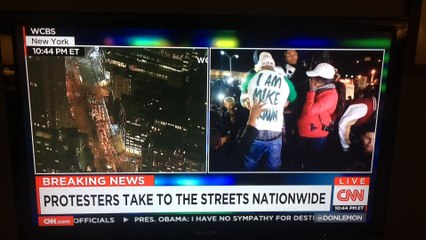 Burn This Bitch Down - Ferguson, Mo