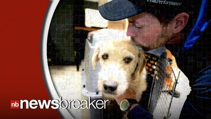 Stray Dog Finds New Home After Following Adventure Racing Team Through Ecuador Jungle