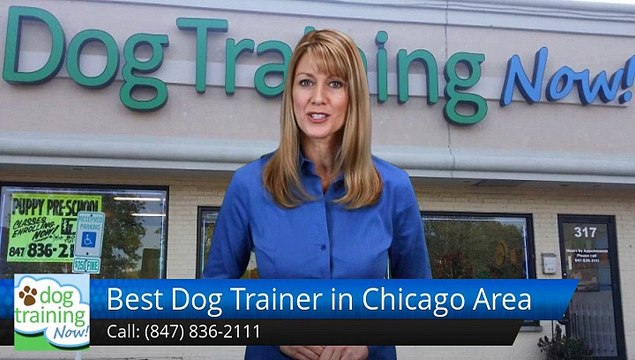 Best Dog Trainer in Chicago Area Schaumburg Perfect Five Star Review by Bill D.