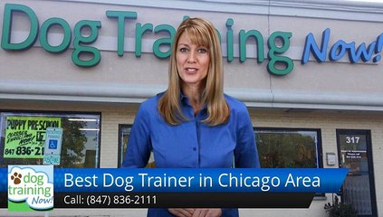 Best Dog Trainer in Chicago Area Schaumburg         Perfect         Five Star Review by Bill D.