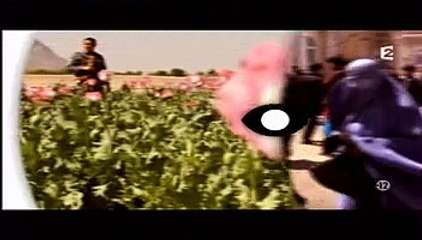 Tout ça pour ça   Un œil sur la Planette (1/2)