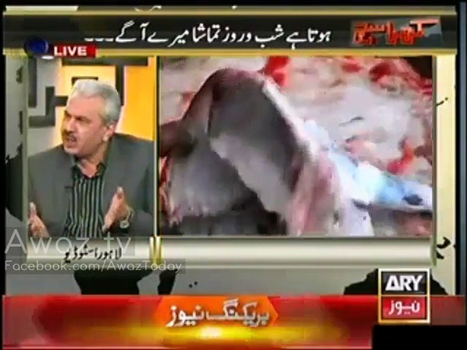 Imran Khan nadaan admi hai jo hum jaisi murda qaum ko jagane ki koshish kar rahe hain - Arif Hameed