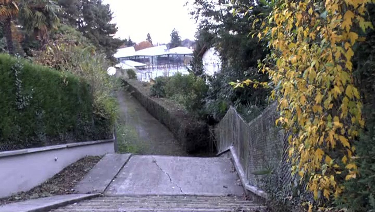 LES SCOOPS DE MICHOU64 W-D.D. - 25 NOVEMBRE 2014 - LA HAIE ET L'ÉLÉAGNUS DE TRAIT D'UNION ONT ETE TAILLÉS -  BRAVO .