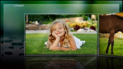 Style ProShow Producer #6