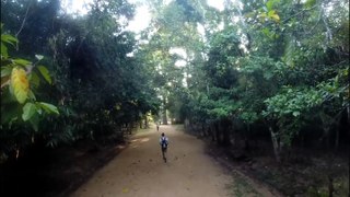 Big araignée - Siem Reap - Cambodge