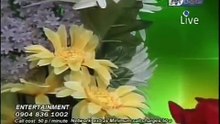 Ya Mustafa Khair ul Wara Tere Jeya Koi Nahi