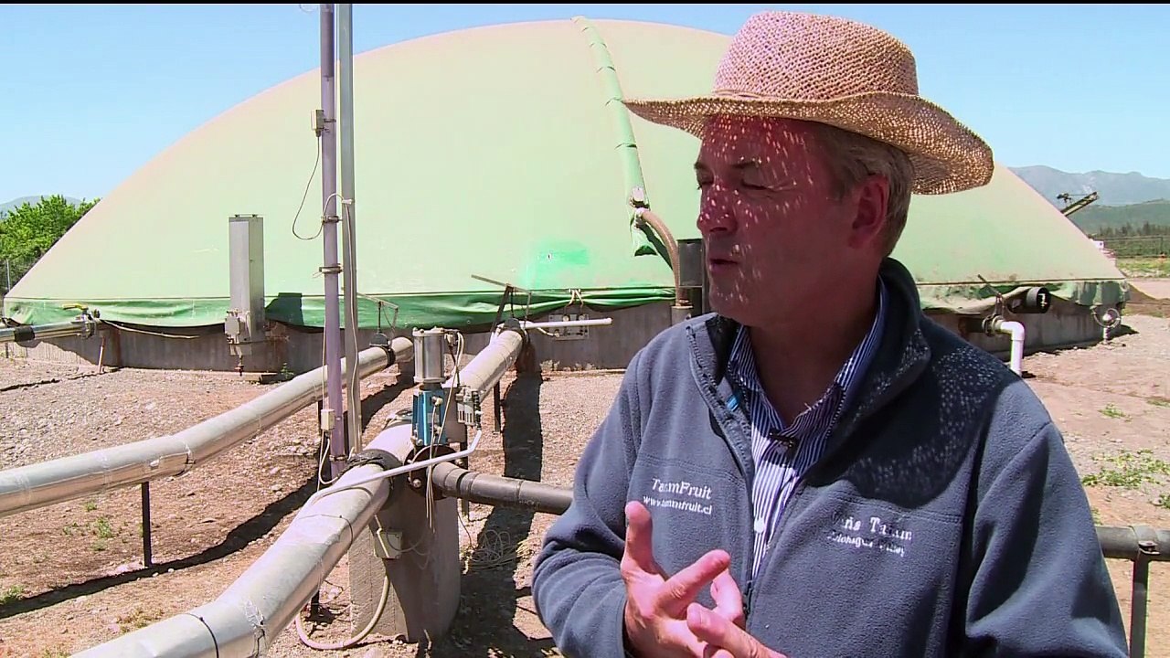 Gülle zu Gold: Chile setzt auf Biogas