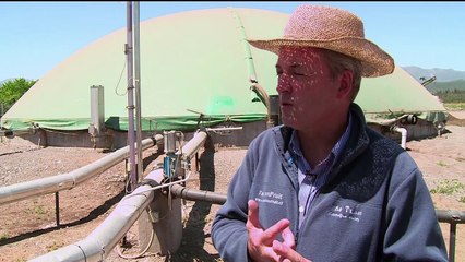 Gülle zu Gold: Chile setzt auf Biogas