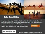Best Dubai Morning Desert Safari Tours & Packages