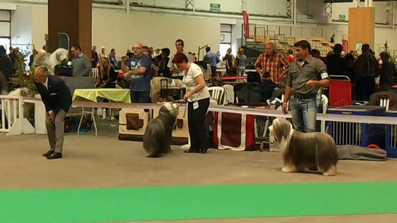 Championnat de France Marseille 2013