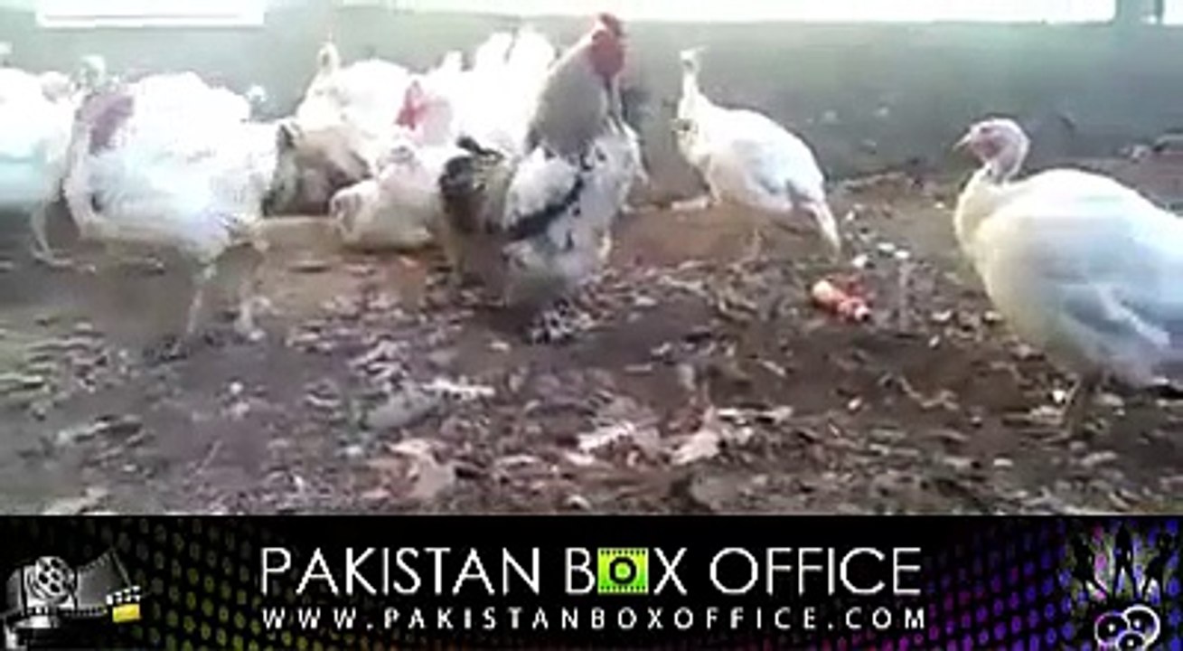 Beta Pangay ache nai hote :)