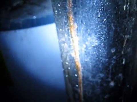 Home Inspectors Boise Finds Waste Water Leaking In The House