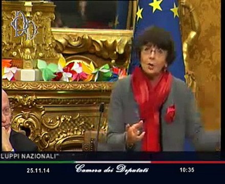 Roma - La violenza sulle donne in Italia - Sereni (25.11.14)