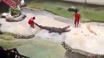 Two Boys Playing with Crocodile, What Happens NEXT will Scare you