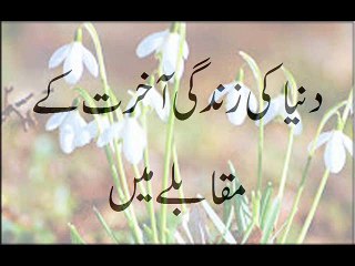 Dunya Ki Zindagi Aakhrat K Muqablay Mein
