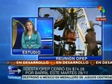 OPEP discute medidas para frenar caída de precios del petróleo