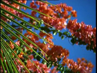 Coffret : l'Océan Indien