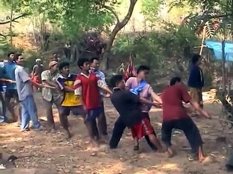 Balade à dos d'éléphants : la torture des ces pauvres bêtes