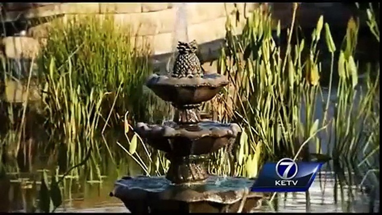 Noiva surpreende convidados!