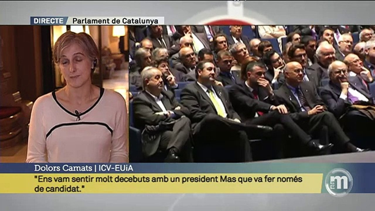 TV3 - Els Matins - Dolors Camats: "Són una estafa, aquestes plebiscitàries"