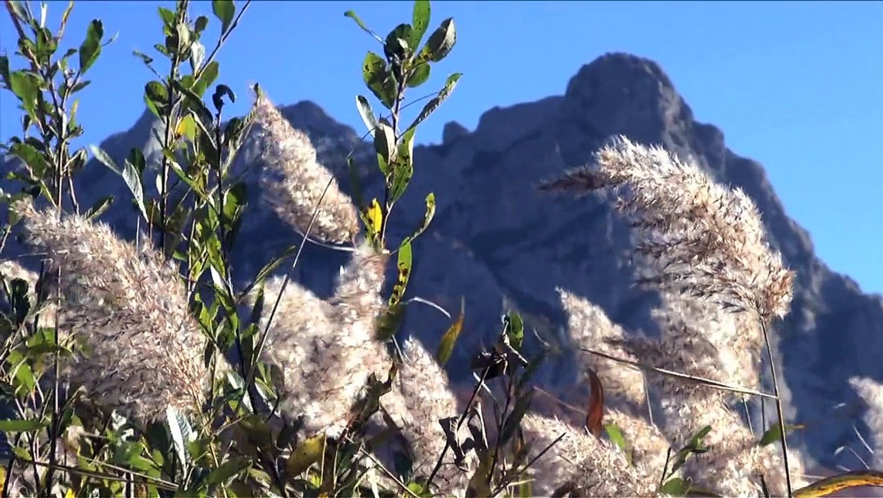 EVEIL  MULTIDIMENSIONNEL - Du corps de Matière au corps de Lumière -  Messages des étoiles - Elisa,  par Debowska Productions : www.debowska.fr