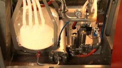 Robotların İneklerle Buluştuğu Tesis