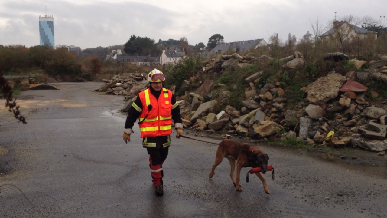 Examen pour huit maîtres-chiens