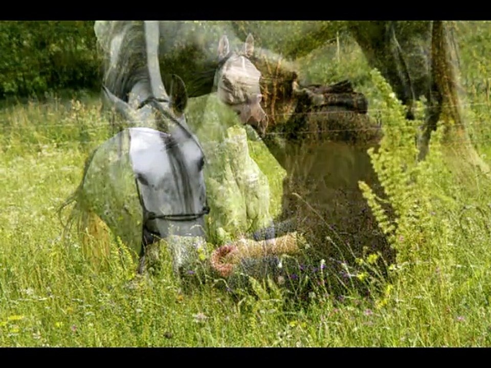 Nalani Stille des Windes