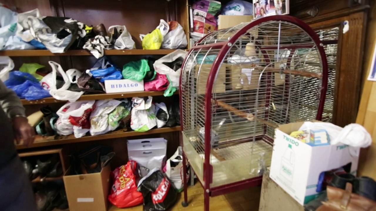 Le perroquet de la cordonnerie de Saint-Boniface à Ixelles