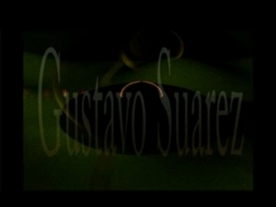 Platovolador2