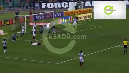 Figueirense	2-0	Vitoria بتاريخ 23/11/2014 - 19:00