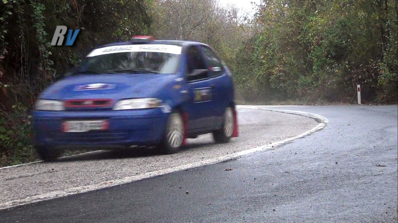2014 Rally Şile / Emrah Ali Başo - Semih Erkal / Fiat Palio