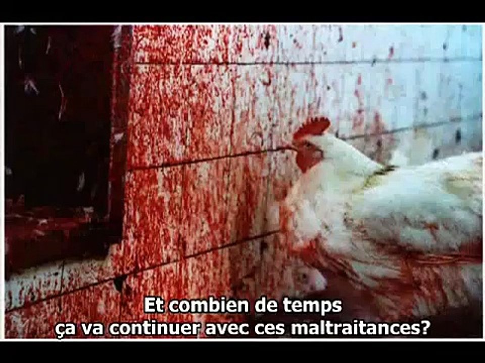 Une espèce (one species)