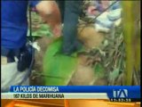 La policía decomisó marihuana en una vivienda de Esmeraldas