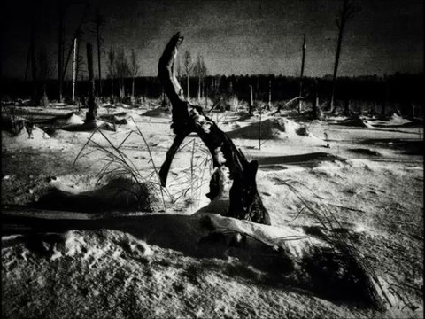 Centralois - B2/ Black Octaves