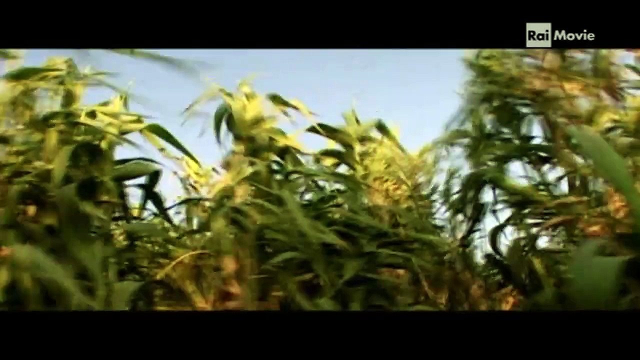 napoli24 - rettifilo