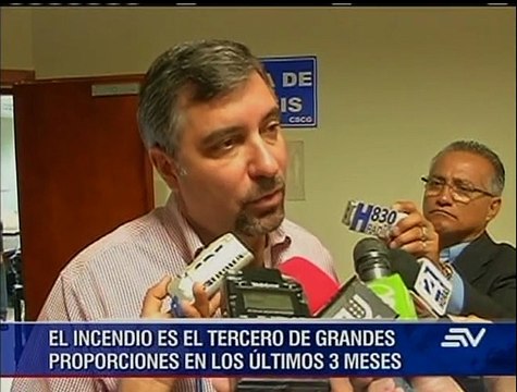 Incendio destruyó hábitat de 10 especies silvestres en Cerro Azul