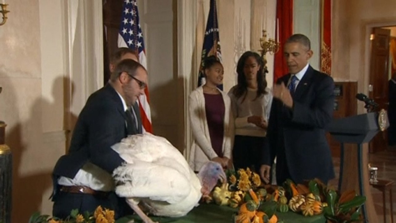 "Some will call it amnesty" - Obama says as he pardons turkeys
