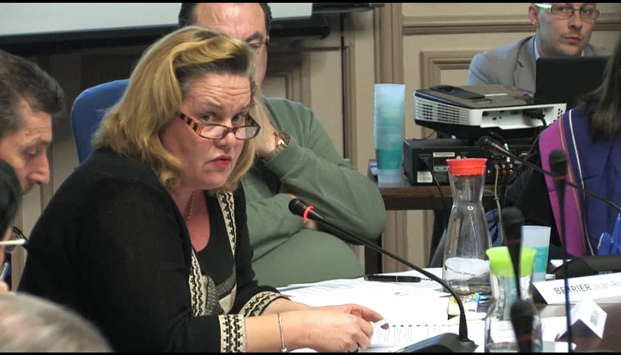 Conseil municipal du 24 novembre 2014