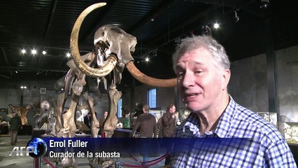 Subastan esqueleto de mamut gigante