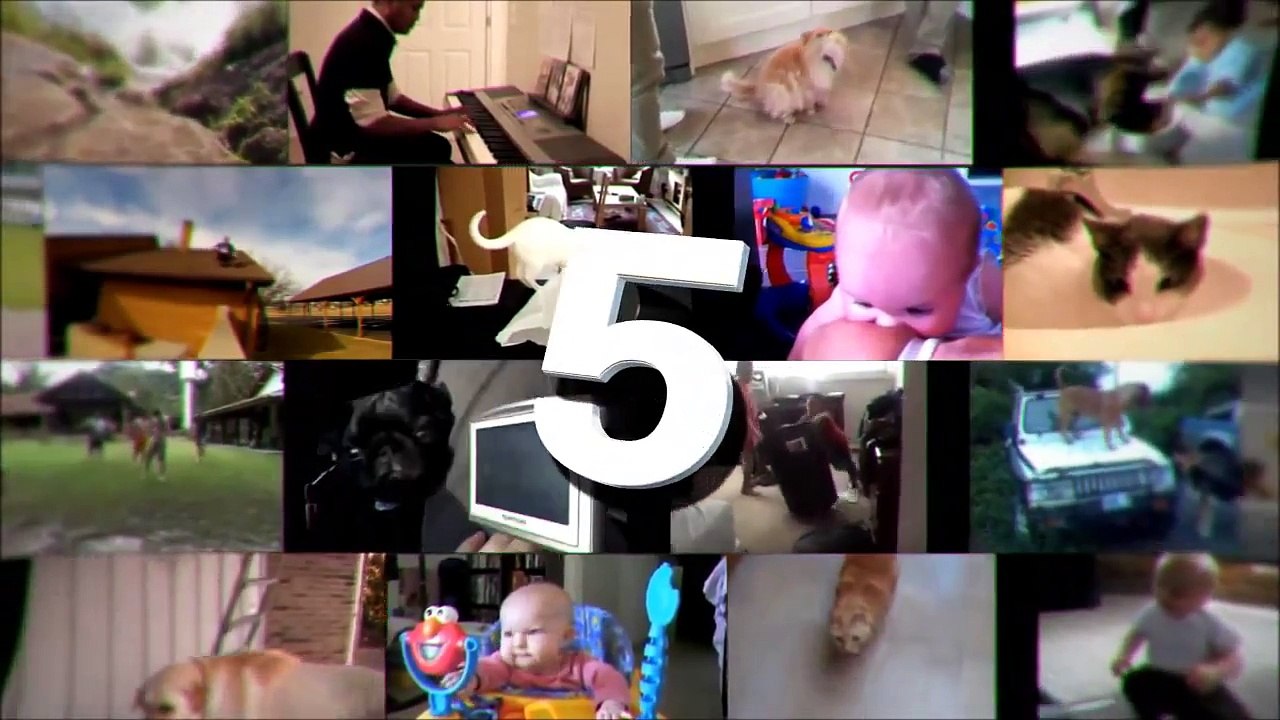TOP 5 CAT VIDEOS #37.