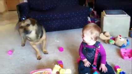 WHEN DOGS & BABIES COLLIDE.