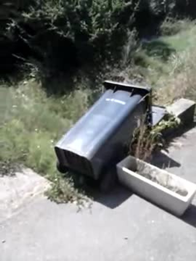 Un homme est très en colère après avoir retrouvé sa poubelle renversée -  Vidéo Dailymotion
